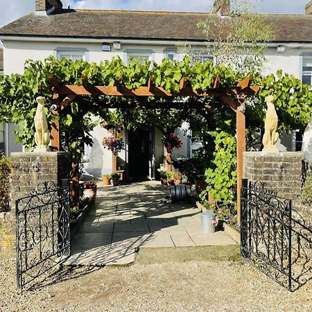 The Greyhound Inn Sydling St Nicholas Exteriér fotografie