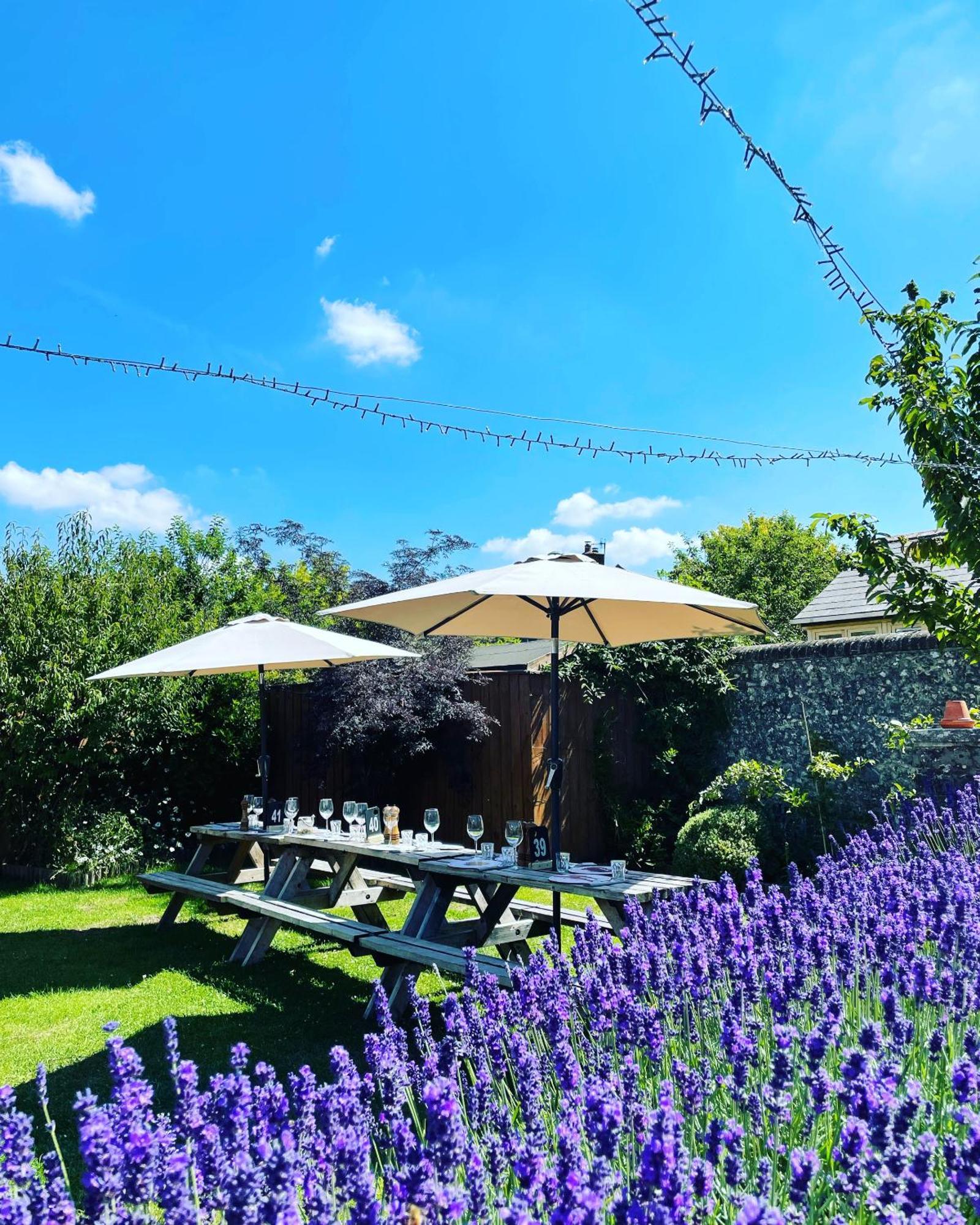 The Greyhound Inn Sydling St Nicholas Exteriér fotografie